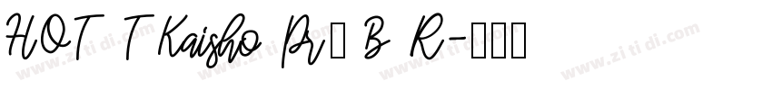 HOT TKaisho Pr5 B R字体转换